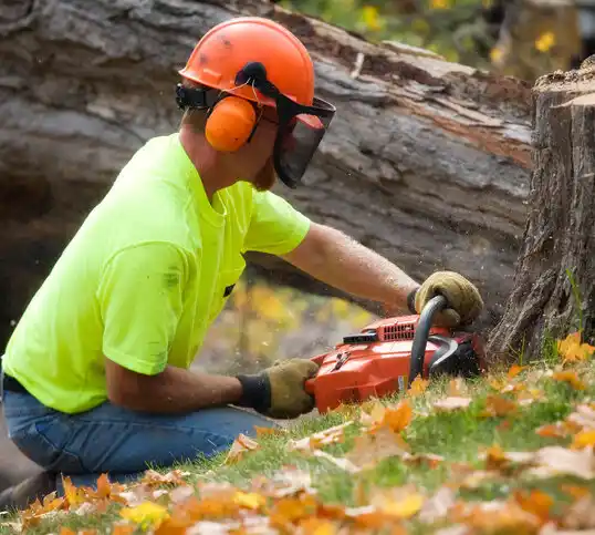 tree services Carrington